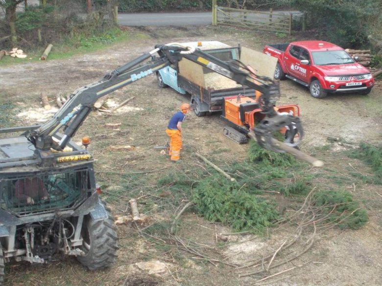 tree surgeons carrying out tree services